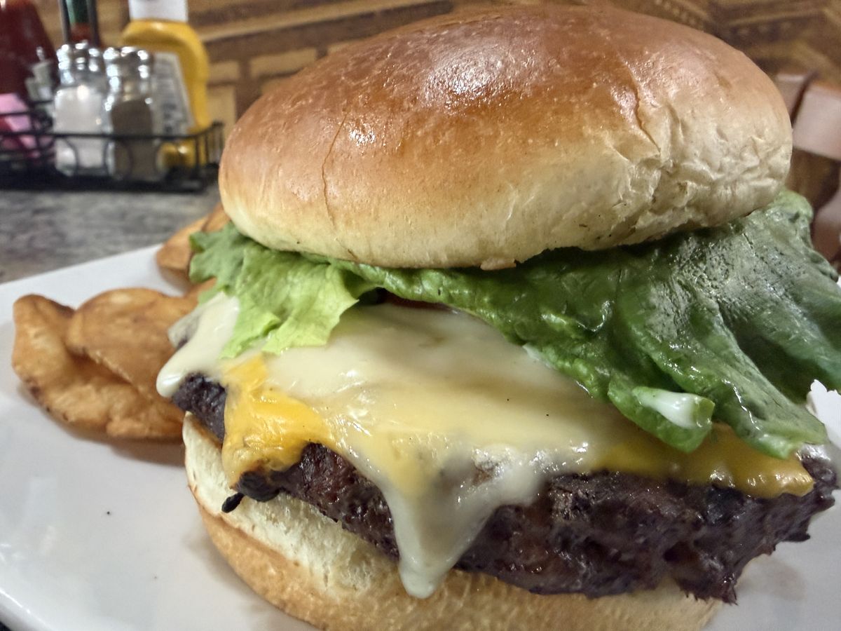 A char-grilled cheeseburger with melted cheddar and crisp lettuce